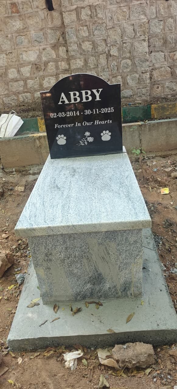 Pet memorial headstone with paw prints