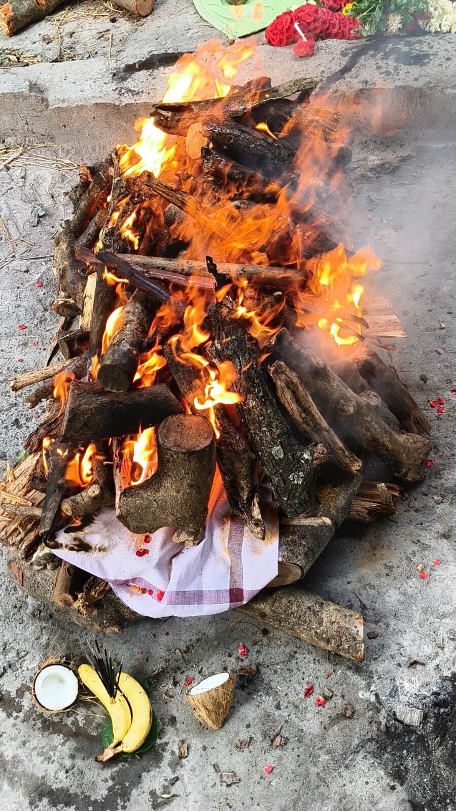 Pet cremation ceremony conducted with dignity