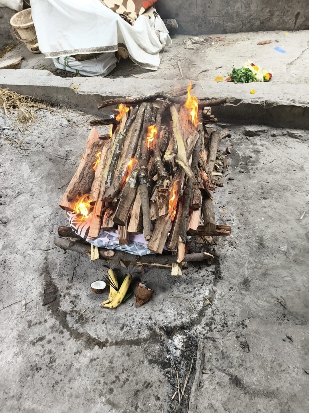 Pet cremation service performed with dignity in Bengaluru